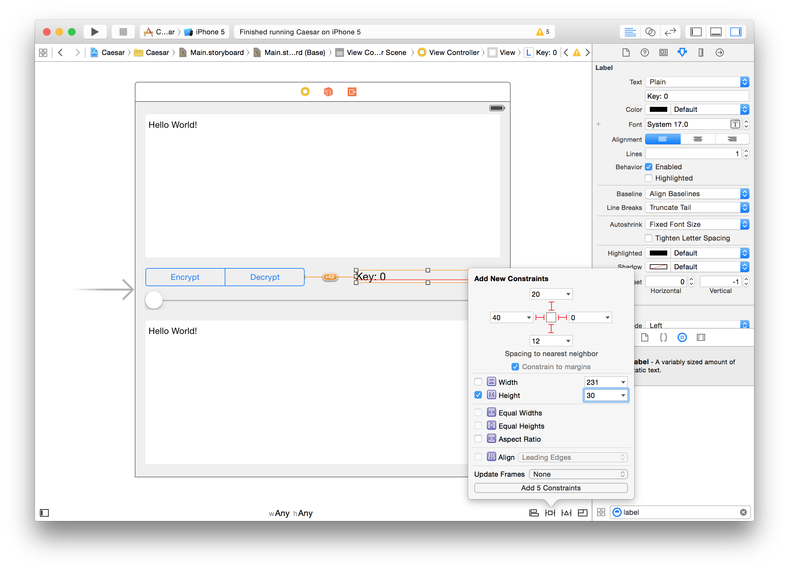 xcode constraints 2