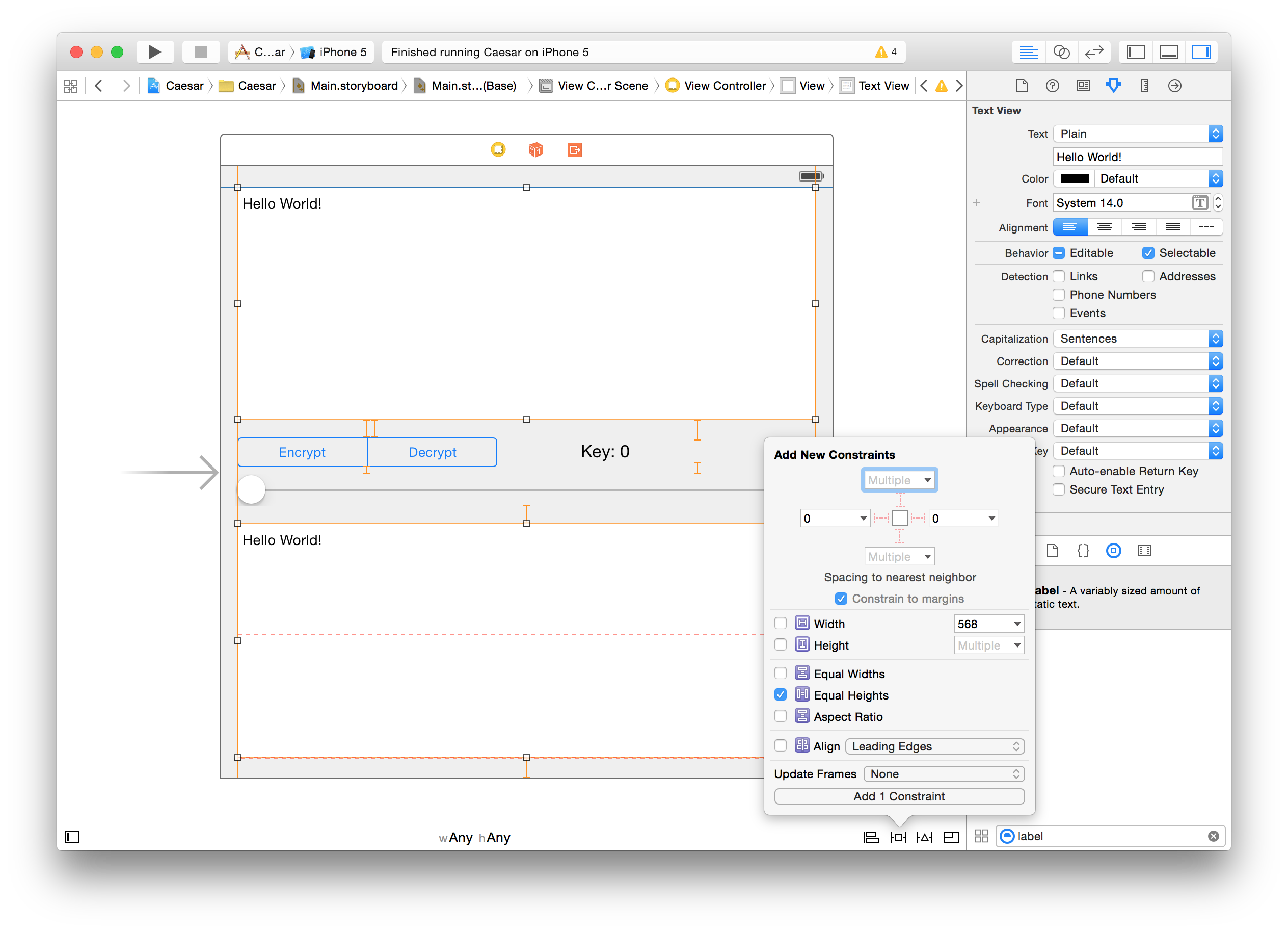 xcode constraints 6