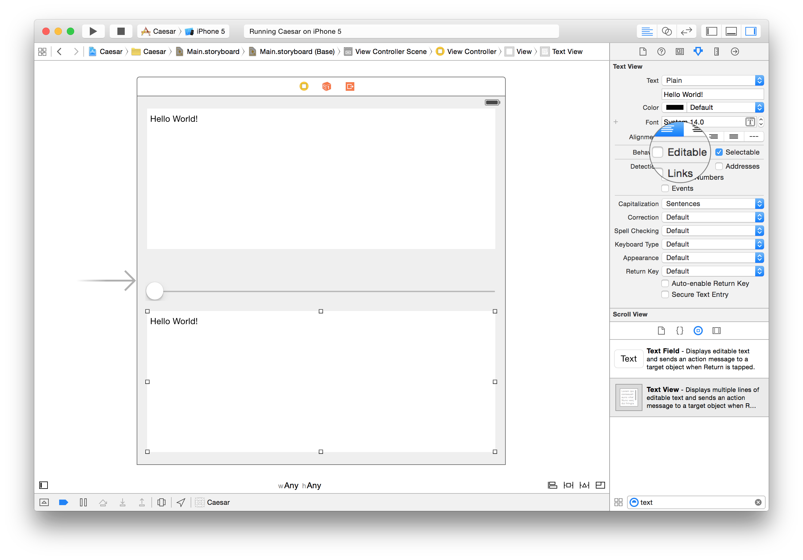 xcode view text views 1
